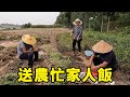 大爺幫家裡摘花生，大喜田間地頭送飯，吃得真香！ 【我是趙姐】