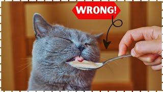 You're Feeding Your Cat All WRONG! How to Feed Your Cat Correctly? by For Pet Owners 441 views 2 days ago 3 minutes, 26 seconds