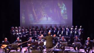 Bindim Atın Birine - Hamoy