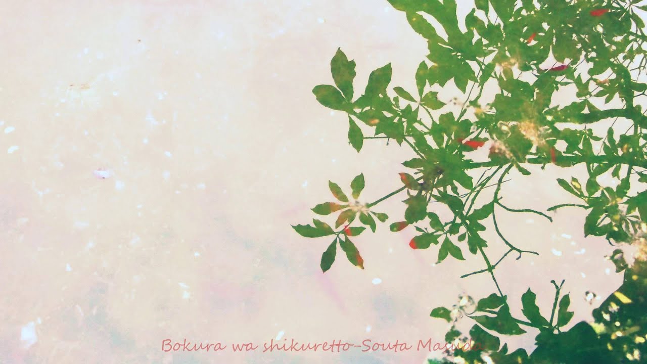 Bokura wa shikuretto- Souta Masuda