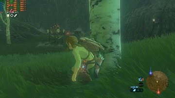 Cemu 1.18.0 c Zelda BOTW [ i5 7300hq ; 1070 max-q ]