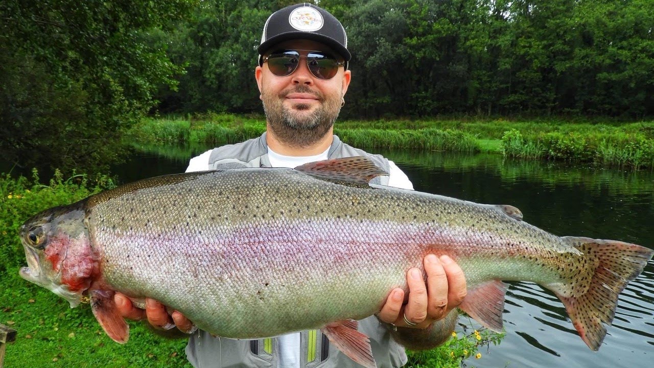 Rockbourne Trout Fishery