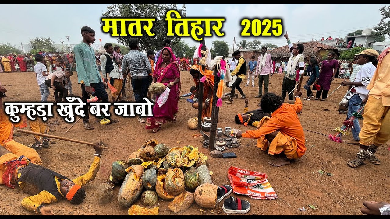 मातर तिहार 2025 | कुम्हड़ा खुँदे बर जाबो | Matar Tihar 2025 | Nawagaon Rajnandgaon | Santu Dhurwe