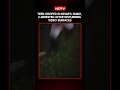 Teen Groped In Bihar's Jamui, 3 Arrested After Disturbing Video Surfaces