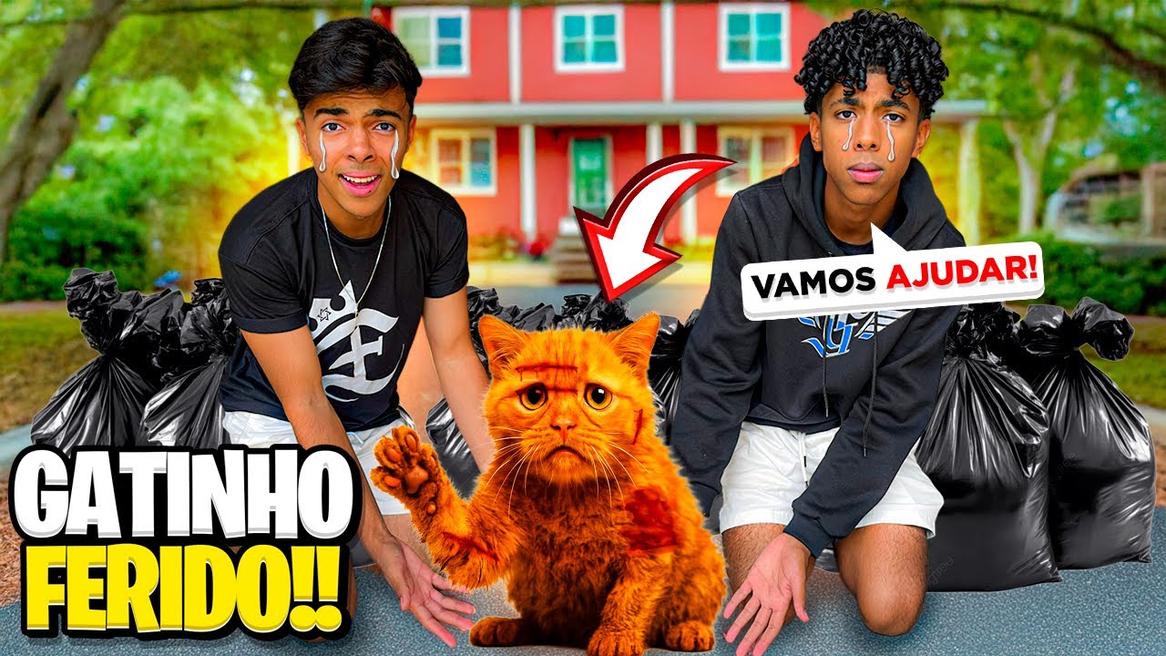 SALVAMOS UM GATINHO FERIDO QUE ESTAVA ABANDONADO! (ESTEVÃO E GABRIEL)