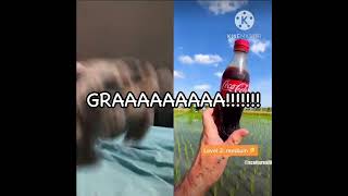 Lucas The Spider Watches Go To Level 3