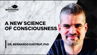 Is Reality Made of Consciousness?  Dr Bernardo Kastrup, PhD
