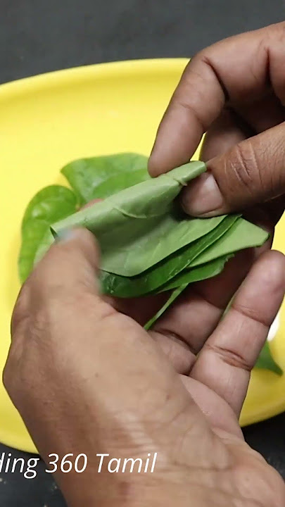 நாள்பட்ட நெஞ்சு சளி இருமல் ஆஸ்துமா குணமாகும் #shorts #cold #asthuma #cough #ayurveda #ayurvedic
