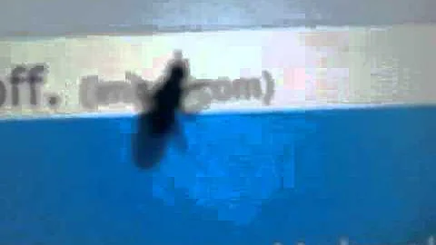 Proč nepoužíváte dotykovou obrazovku?