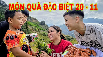 HHVC - (TẬP 256) MÓN QUÀ ĐẶC BIỆT 20 - 11 CỦA HỌC SINH NGHÈO