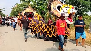 seru ‼️ arak arakan barongan macan kuning Dan hitam di desa Sampang