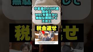 【大炎上】WBCを観に行った閣僚はその趣旨を答弁してとどうでも良い発言をし中革連の小川代表が大炎上