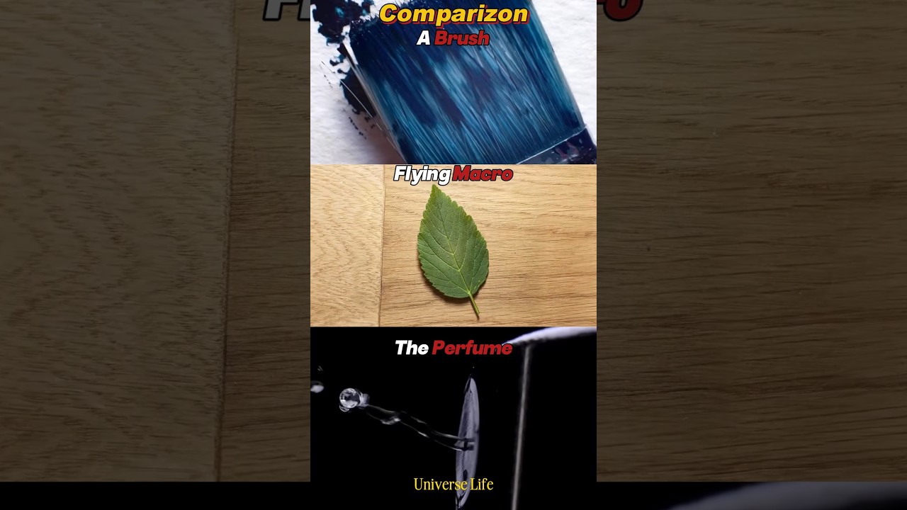 A Brush Vs Flying macro Vs The Perfume  Zoom In/Out Comparizon 