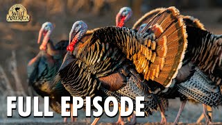 Wild America | S10 E9 'Wild Turkey - Part 1' | Full Episode | FANGS