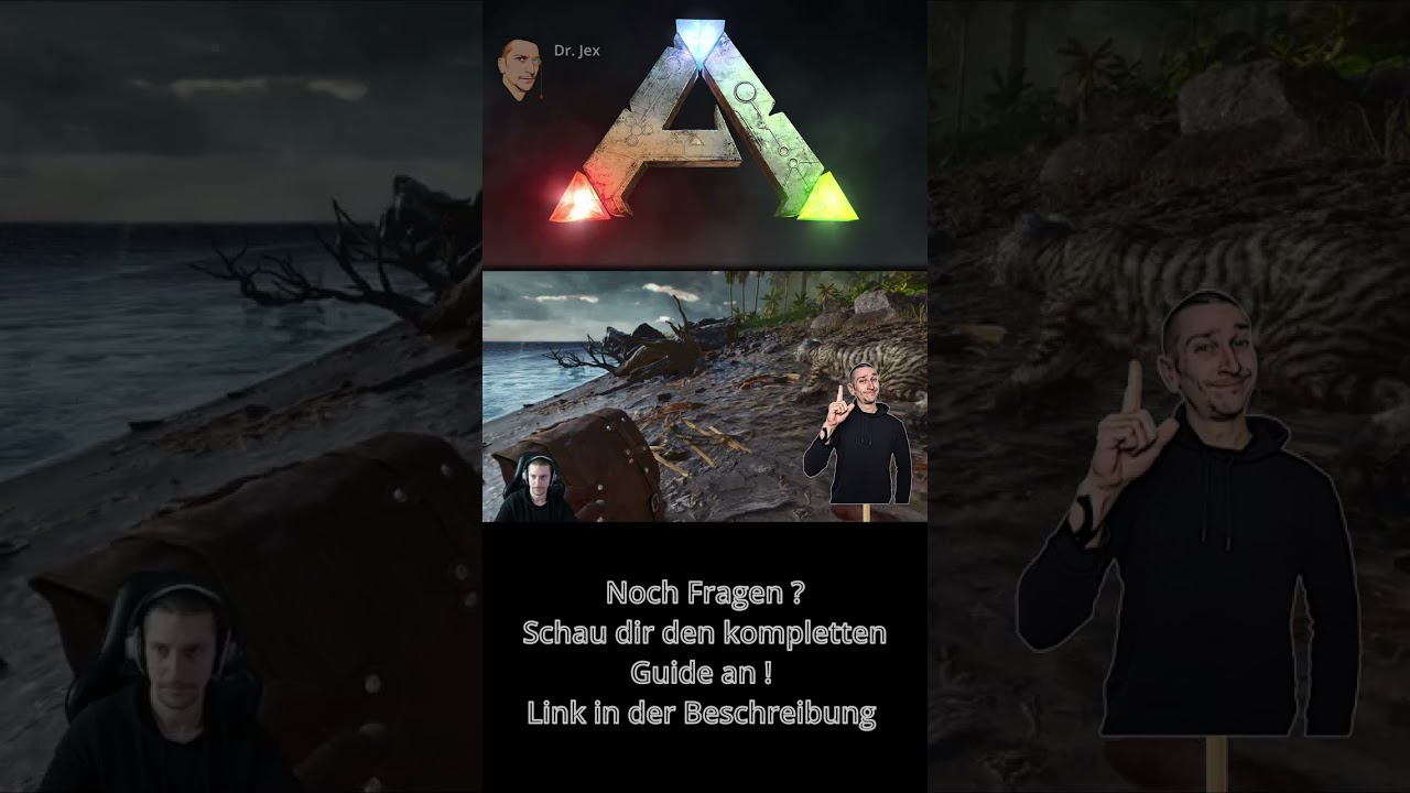 Wie und Warum zähme ich eine Katze 