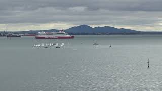Spirit Of Tasmania I At Corio Bay 14/4/2024