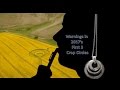 Warnings in 2017's first 3 crop circles - Korean Conflicts, ISIS attacks