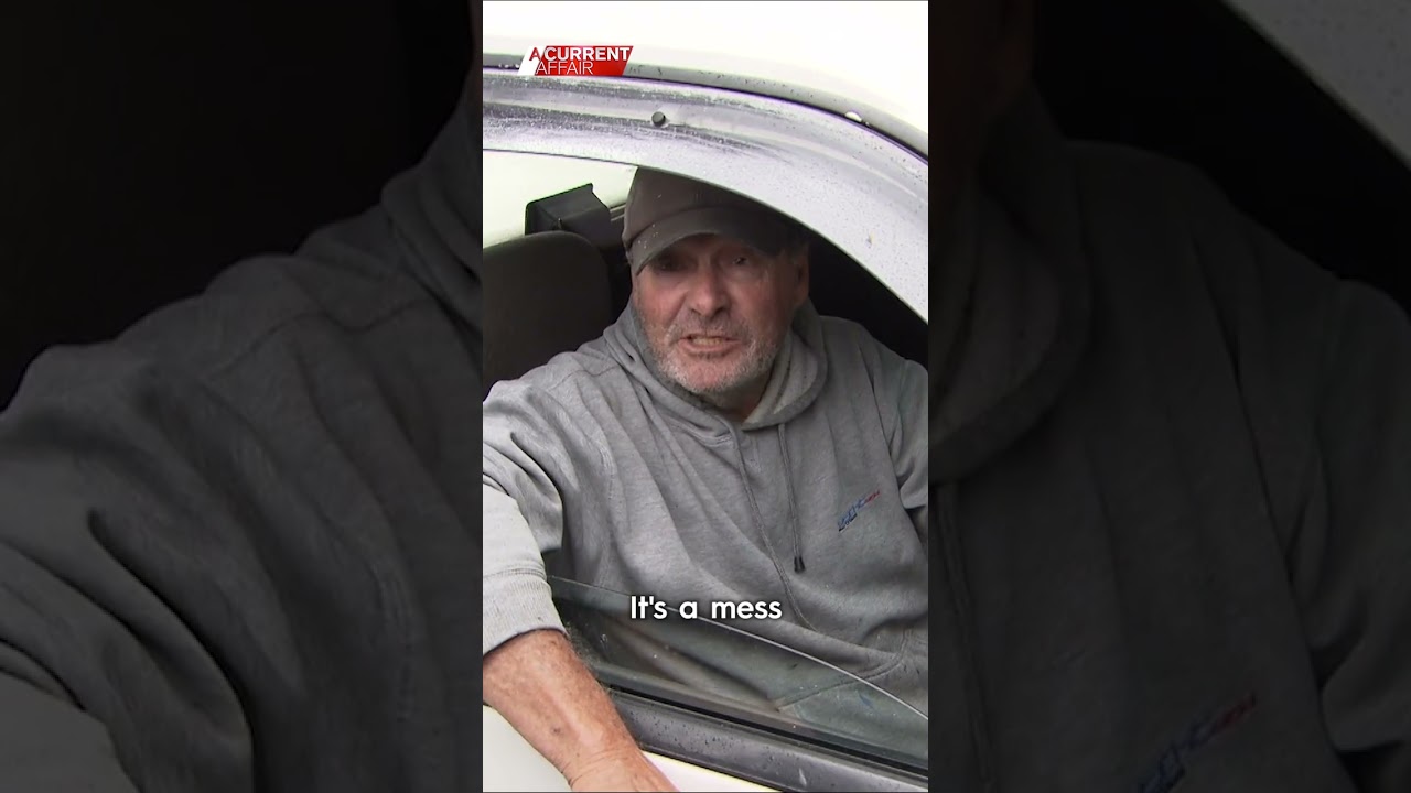 Environmental disaster in leafy community 