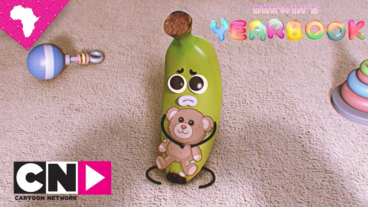 Why is Banana Joe like this? Darwin's Yearbook Cartoon Network