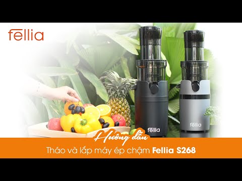 Video HƯỚNG DẪN LẮP VÀ THÁO MÁY ÉP CHẬM FELLIA S268 NHANH... - youtube