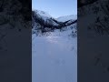 How Many Moose ARE There In Alaska?!