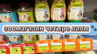 Поход в зоомагазин | Покупки для крыс | Покупки для меня 🛍