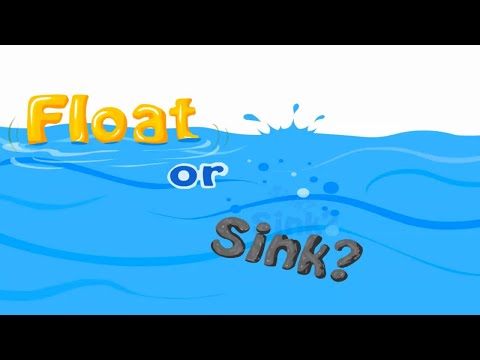 Little Fox - Level 1 - 30. Float or Sink? - Single stories