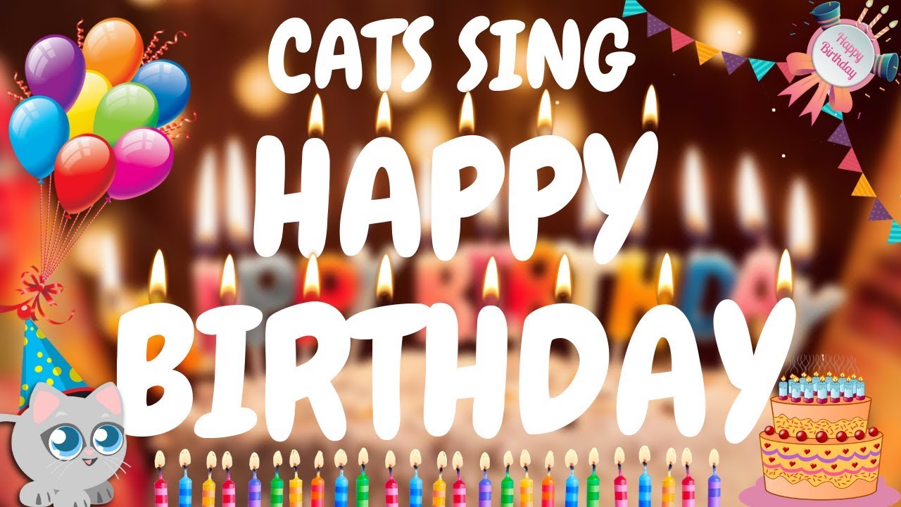 Cats Sing Happy Birthday Song  Cats Singing Song