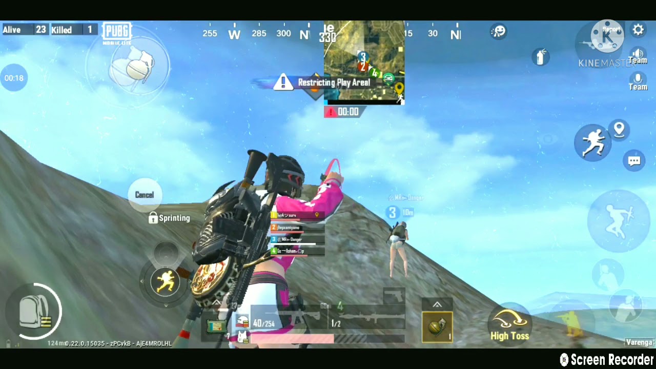 Insane lion in my match