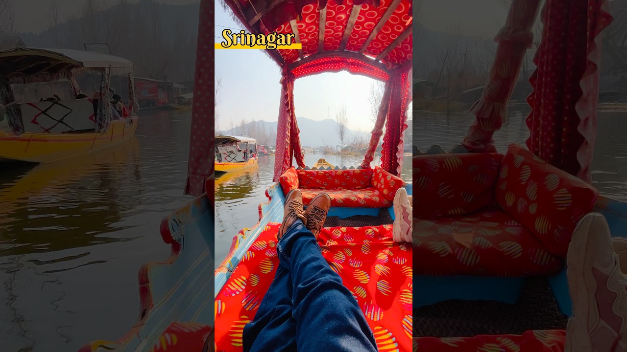 Dal Lake Srinagar 😍||kashmir || #trending #viral #youtubeshort #kashmir #shortvideo