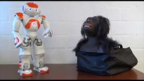 Nao Robot debates an Ape about technology in Europe.