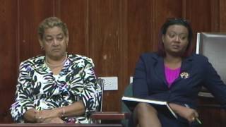 Hon. Guy Joseph addresses amendments to the Elections Act