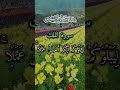 Surah-Al-Mulk📖 | Beautiful Surah and beautiful view of tulip garden🏡.#islamicshorts #quran #nature