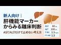 新人向け|肝機能マーカーからみる離床判断 AST/ALTだけで止めない考え方