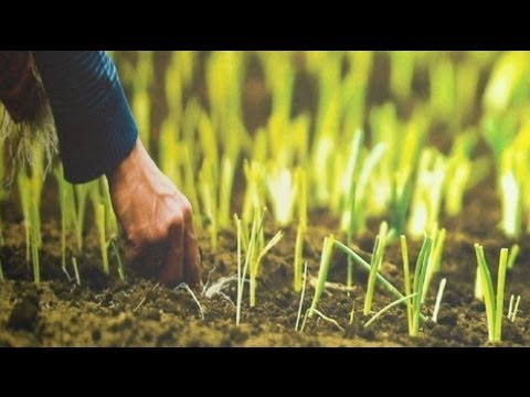 يوم الغذاء في العالم و ايام التنمية في بروكسل