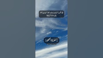 سورة النحل الآية ١٠٢ الى ١٠٥ بصوت الشيخ محمد صديق المنشاوي