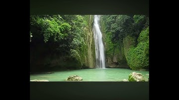 تلاوة مؤثرة للقارئ الشيخ الليبي #أحمد_طاهر_إسكينيد رحمه الله و رزقه سبحانه الفردوس الأعلى 🤲