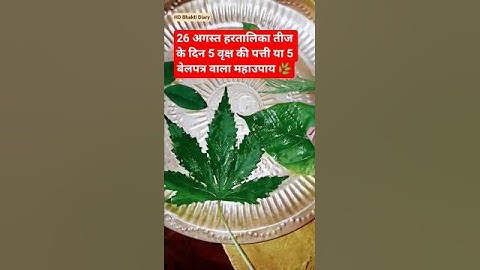 26 अगस्त हरतालिका तीज का उपाय #shorts #hartalika #hartalikateej #pradeepmishra #shortsfeed #upay #yt