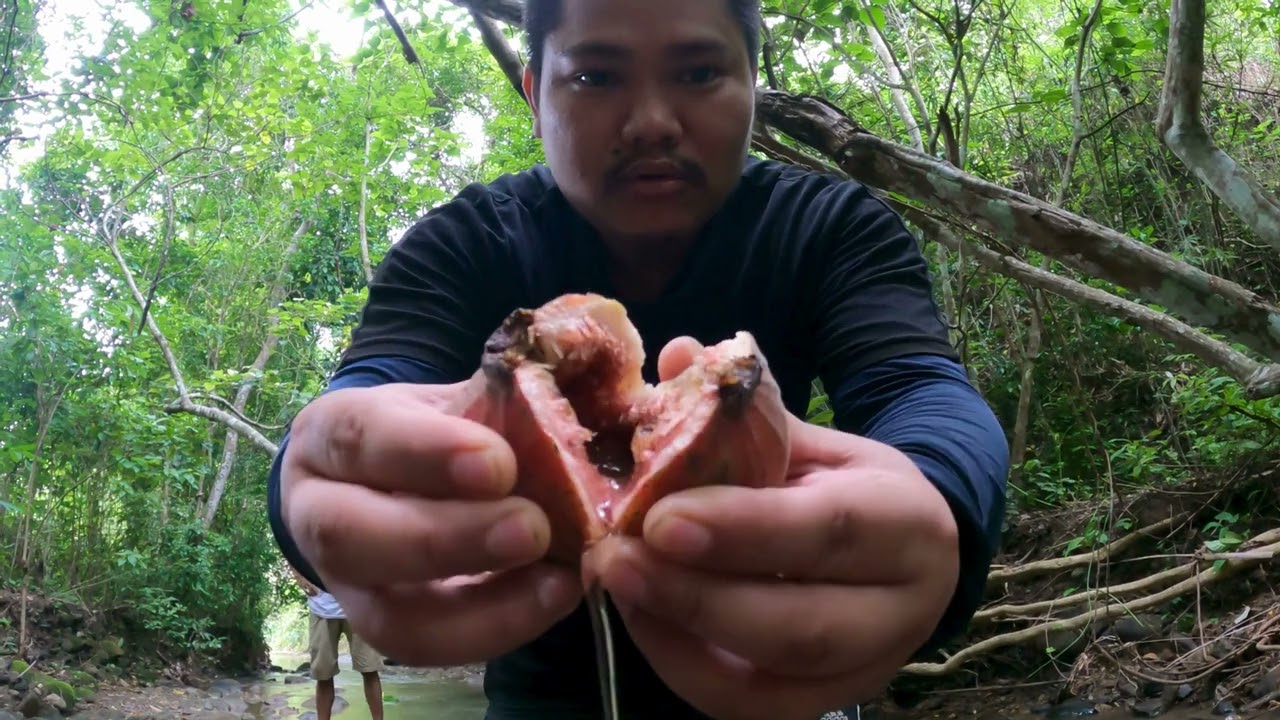 Trying Exotic Fruits for the First Time