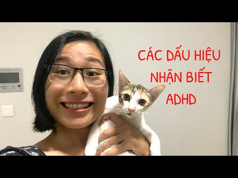 #02 CÁC DẤU HIỆU NHẬN BIẾT ADHD | Vlog | Tôi Và ADHD