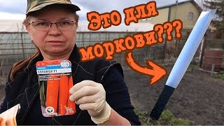 Посев моркови. БЕЗ ГОРЕЧИ и МОРКОВНОЙ МУХИ.