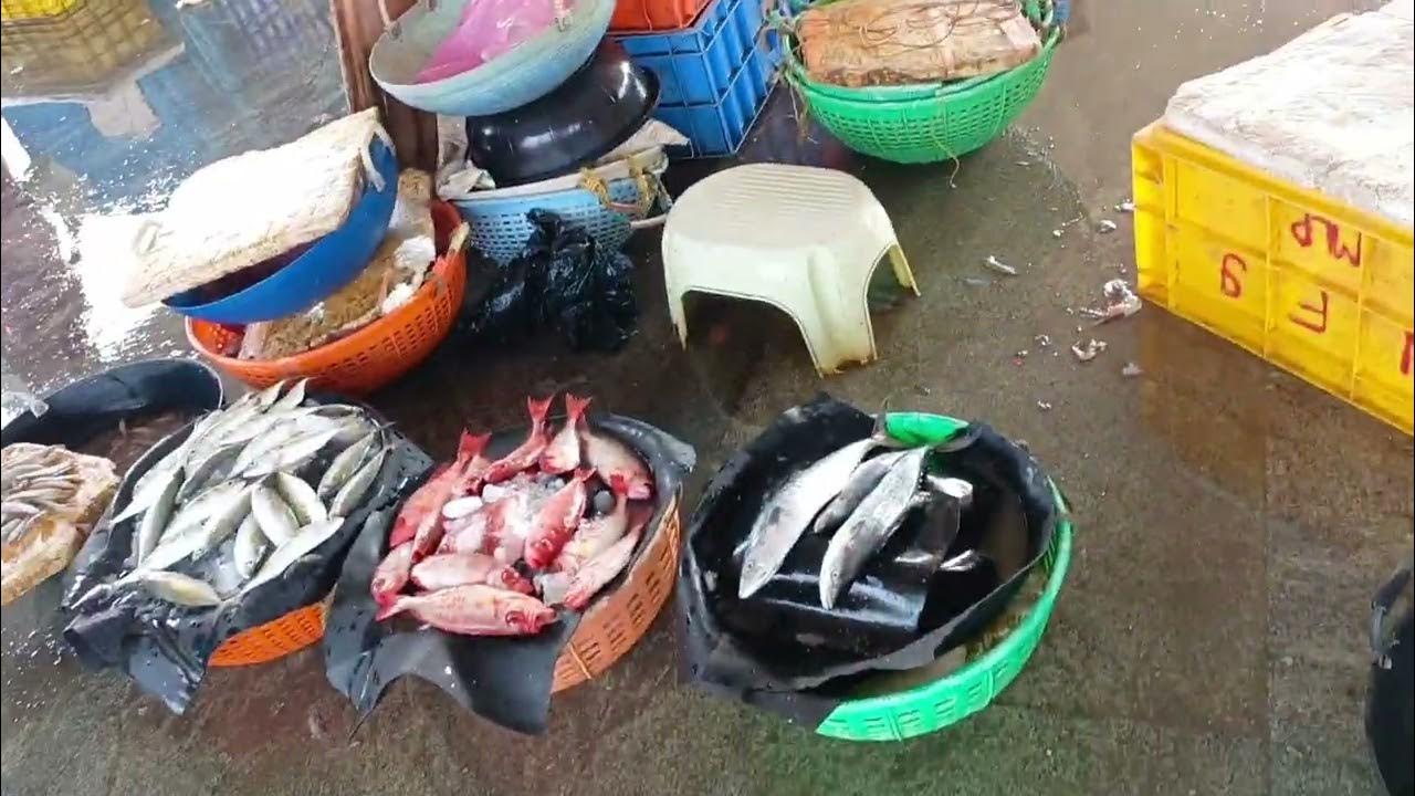 malpe-fish-market-verity-fishes-udupi-karnataka-youtube