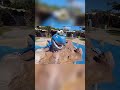 Exploring Storm and Castaway Bay Adventures