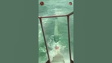 Thả 12 cửa ngục