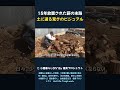 15年放置された薪の末路 土に還る驚きのビジュアル