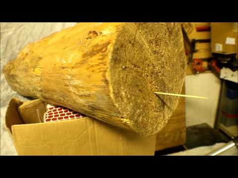 4 WAYs to Throw a TOOTHPICK