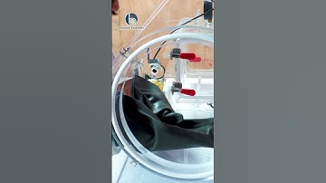 Top  Glove Box Applications: From Pharma Labs to Nuclear Research