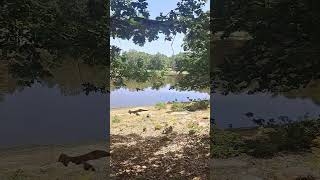 Lac Noir Vibe