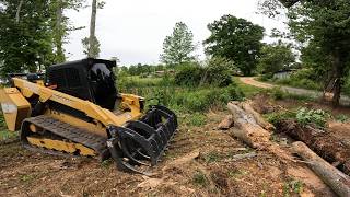 Mulching and cutting trees