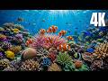 Can’t Sleep? ❄️ Arctic Ocean Relaxation Music for Insomnia, Anxiety &amp; Deep Sleep 🐟.